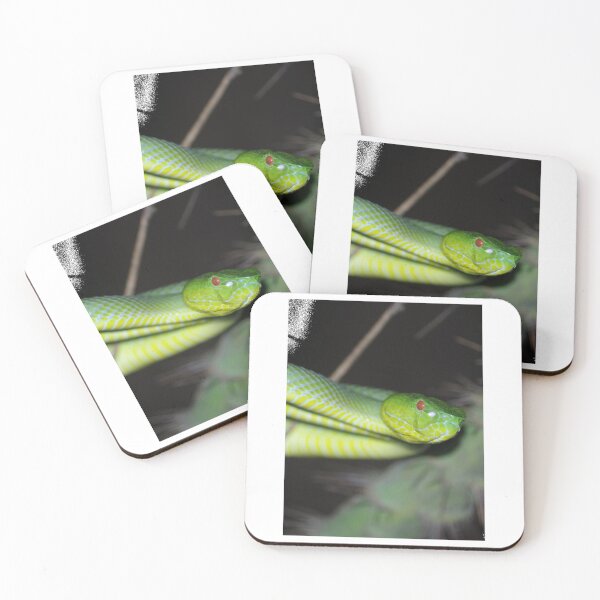 Item preview, Sabah Pit Viper designed and sold by stamper-andera.