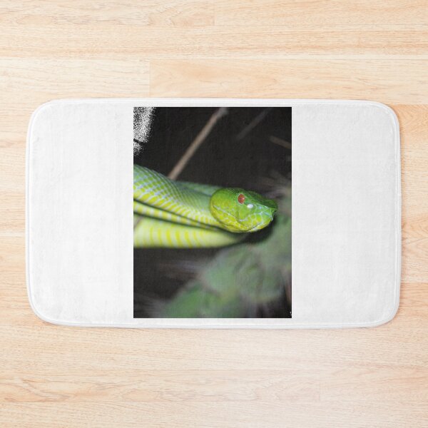 Item preview, Sabah Pit Viper designed and sold by stamper-andera.