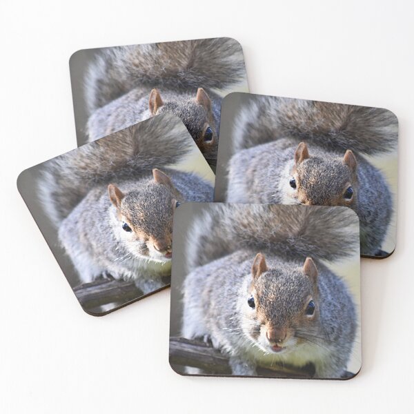 Item preview, Squirrel  designed and sold by Superpol44.