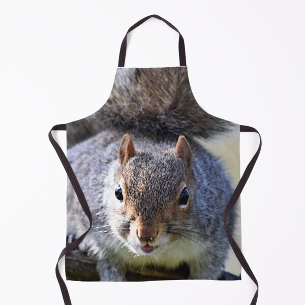 Item preview, Squirrel  designed and sold by Superpol44.