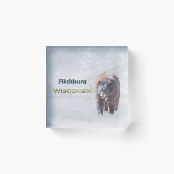 Item preview, Snow Bear Fitchburg Wisconsin designed and sold by Elisabeth Lucas.