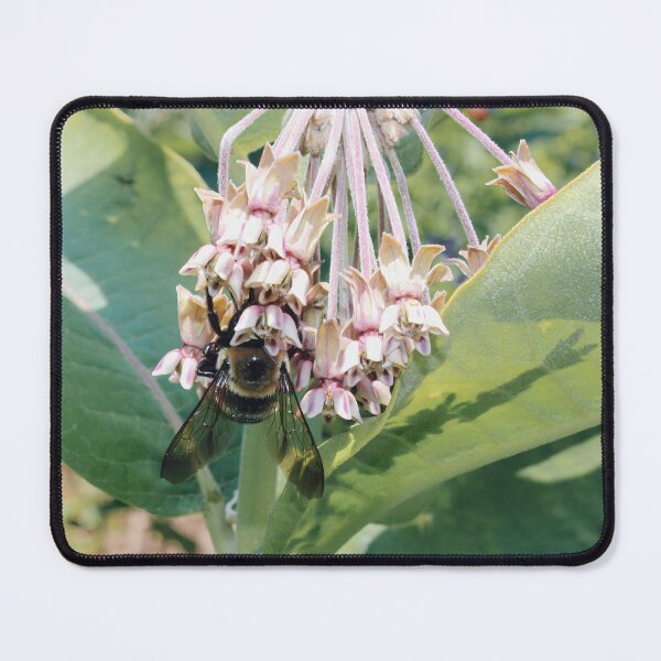 Item preview, Bumblebee on a Flower Photo designed and sold by FirebrandFoxx.