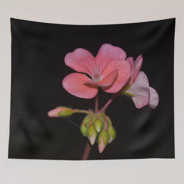 Item preview, Geranium  designed and sold by Superpol44.