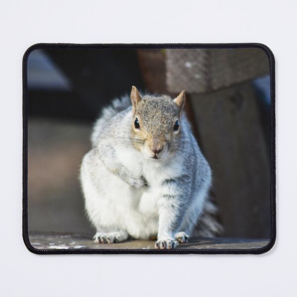 Item preview, You talking to me?!  designed and sold by Superpol44.