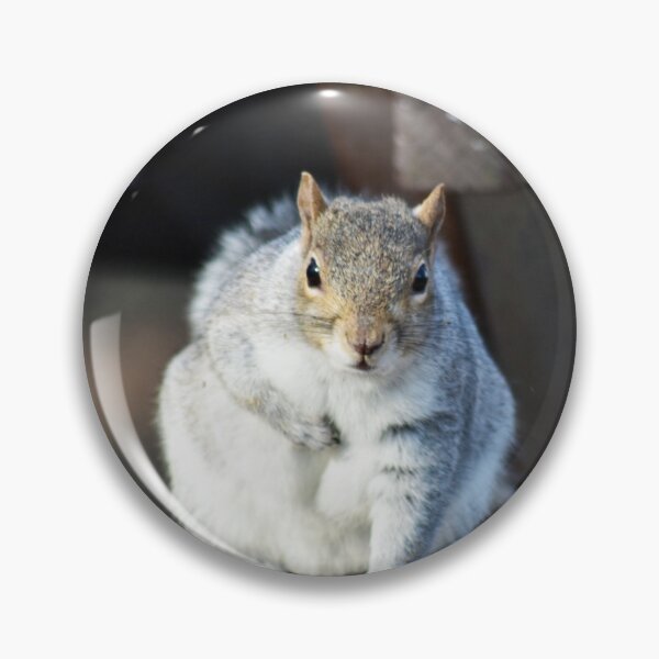 Item preview, You talking to me?!  designed and sold by Superpol44.