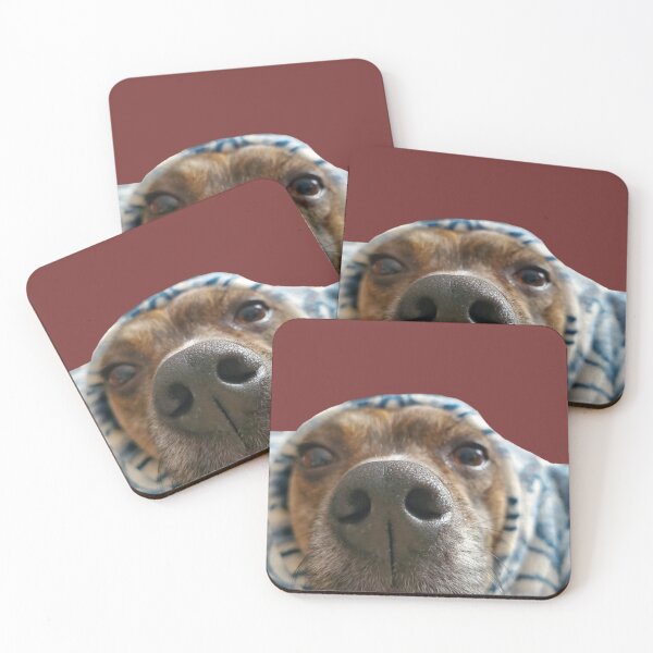 Item preview, Boop the Snoot designed and sold by Kissara.