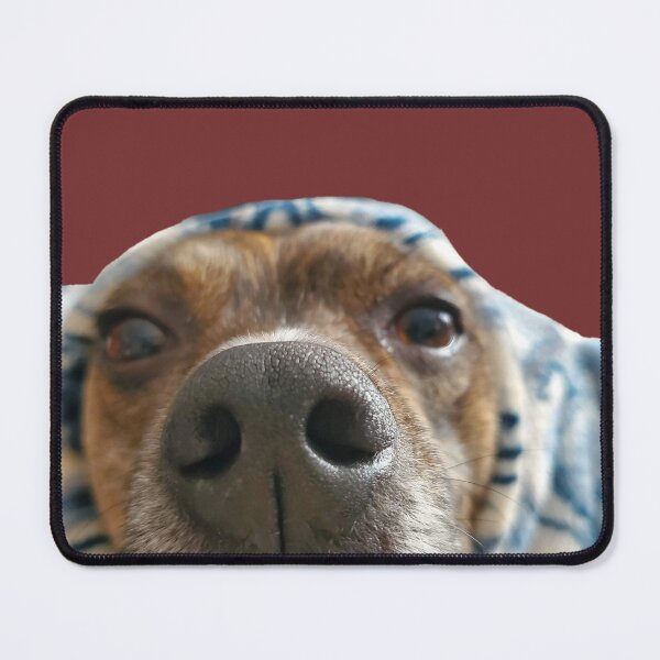 Item preview, Boop the Snoot designed and sold by Kissara.