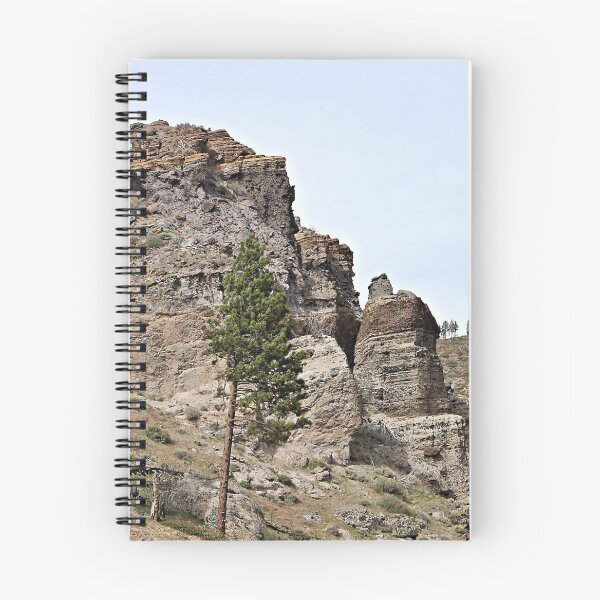 Item preview, Striated Cliffs in the Sierra Nevadas, California designed and sold by Martha Sherman.