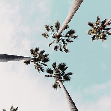 Artwork thumbnail, Palm trees Palms print by Digital Cloud