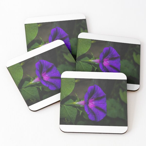 Item preview, Purple Morning Glory Photo designed and sold by FirebrandFoxx.