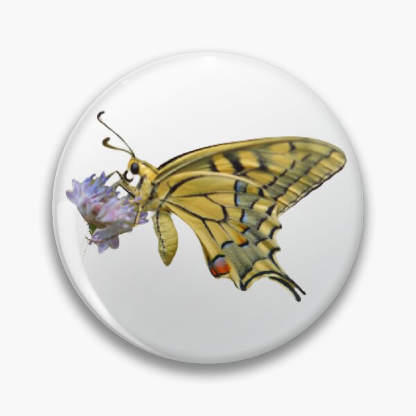 Item preview, Swallowtail Butterfly - Mariposa Cola de Golondrina - Foto by Yael Bar designed and sold by josesita.