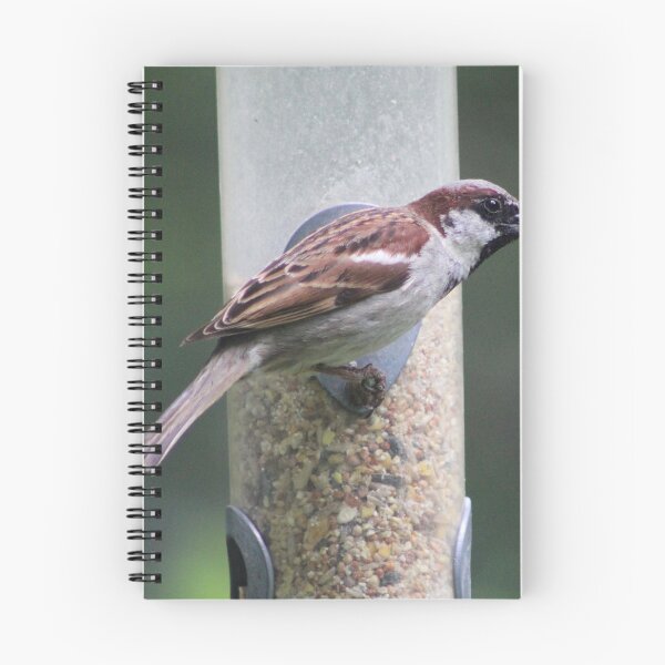 Item preview, house sparrow designed and sold by KathleenDawson.