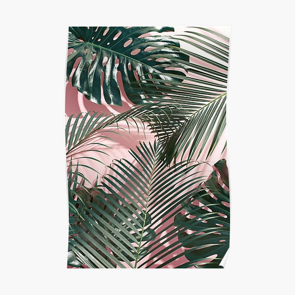 Pink tropical leaves Poster