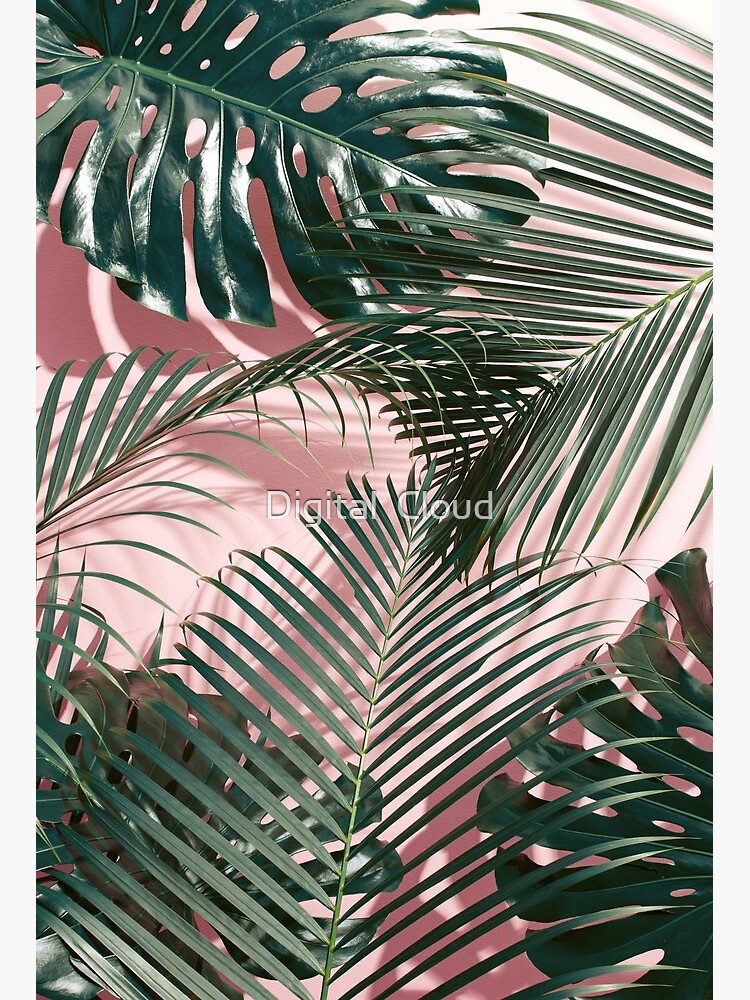 Pink tropical leaves