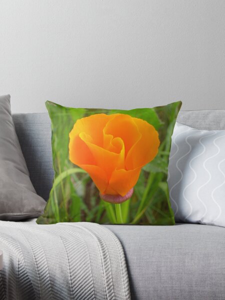 Item preview, It's Orange Poppy Season #3 designed and sold by Graham Geldard.
