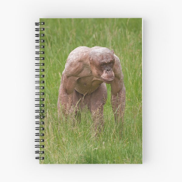Item preview, Hairless Chimpanzee On The Move designed and sold by rawshutterbug.
