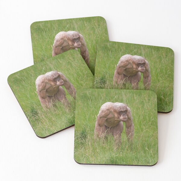 Item preview, Hairless Chimpanzee On The Move designed and sold by rawshutterbug.