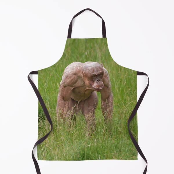 Item preview, Hairless Chimpanzee On The Move designed and sold by rawshutterbug.