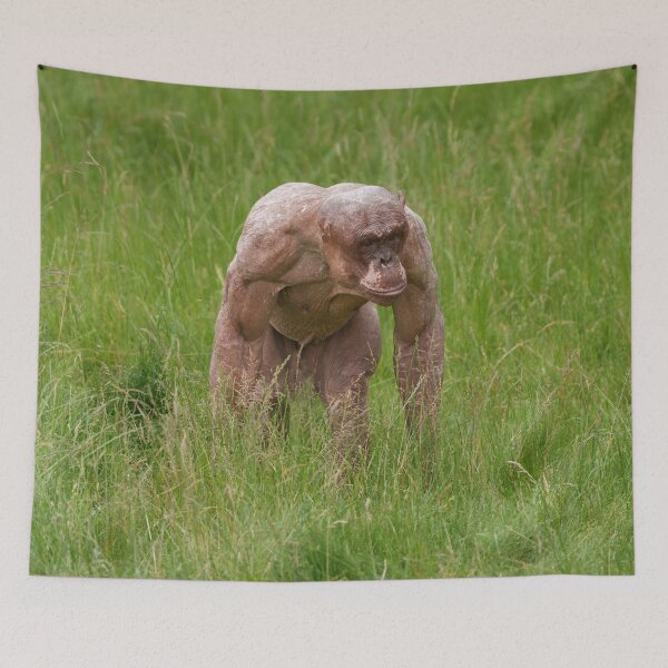 Item preview, Hairless Chimpanzee On The Move designed and sold by rawshutterbug.