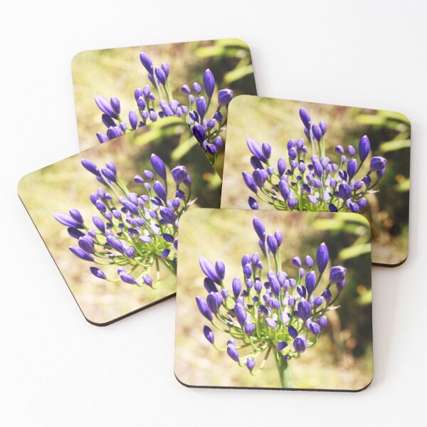 Aperçu de l'œuvre Fleur australienne simple pourpre créée et vendue par AnocaNovais.