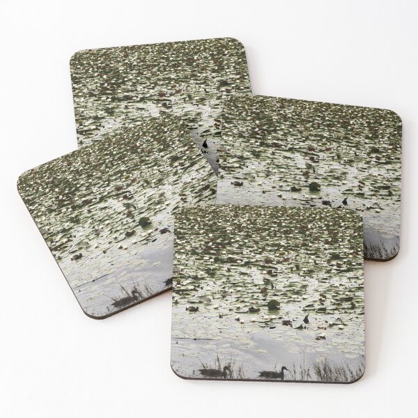 Item preview, Lagoon black ducks green scales scama sequin pattern designed and sold by AnocaNovais.