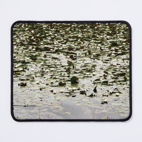 Item preview, Lagoon black ducks green scales scama sequin pattern designed and sold by AnocaNovais.