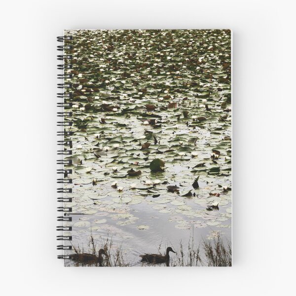 Item preview, Lagoon black ducks green scales scama sequin pattern designed and sold by AnocaNovais.