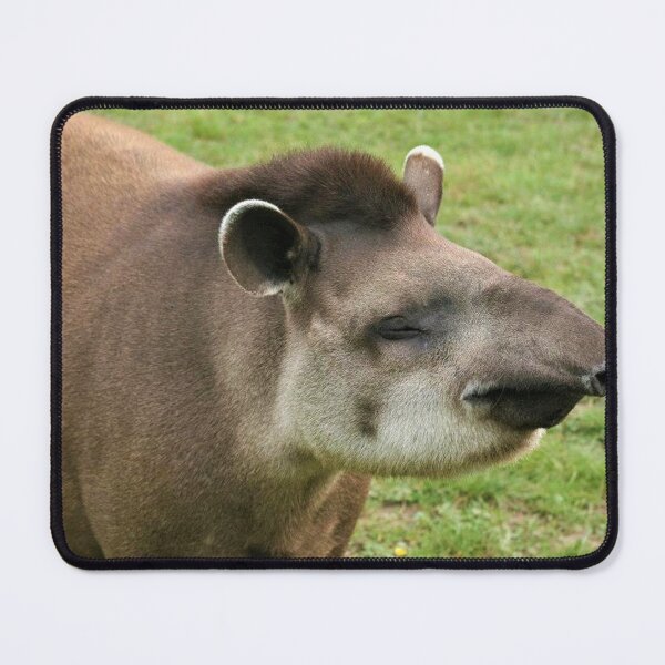 Item preview, Happy Tapir designed and sold by Fearless-Fox.