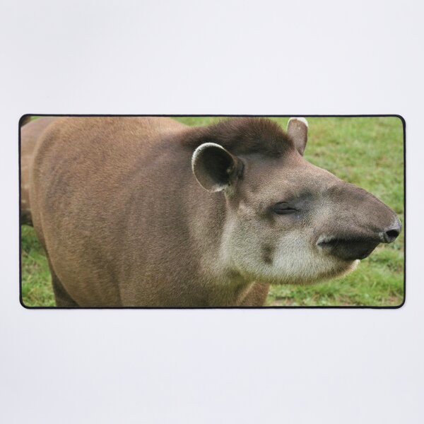 Aperçu de l'œuvre Joyeux Tapir créée et vendue par Fearless-Fox.