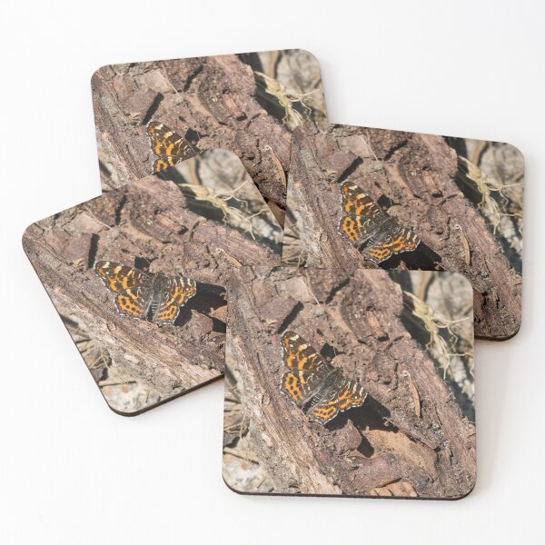 Item preview, Levana life. Map butterfly designed and sold by Jouko Lehto Photography.