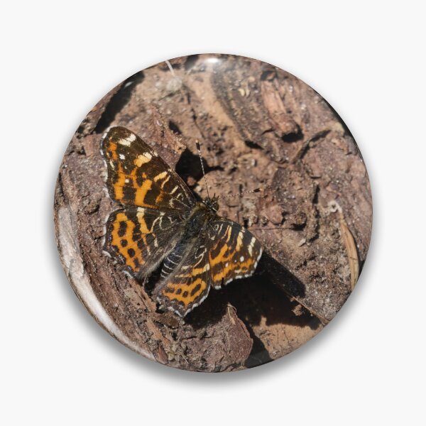 Item preview, Levana life. Map butterfly designed and sold by Jouko Lehto Photography.