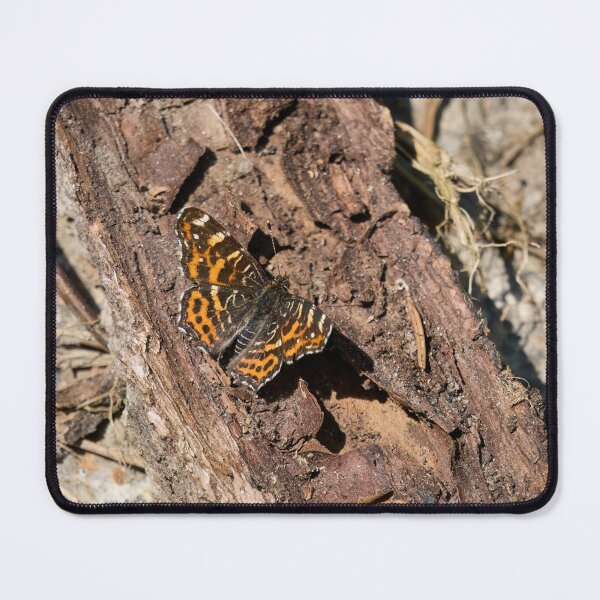 Item preview, Levana life. Map butterfly designed and sold by Jouko Lehto Photography.