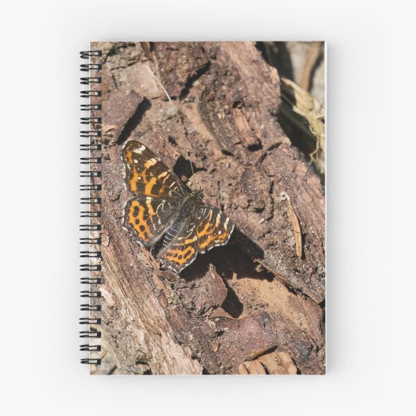 Item preview, Levana life. Map butterfly designed and sold by Jouko Lehto Photography.