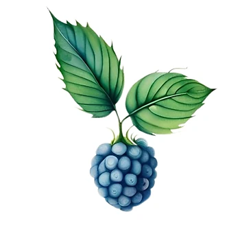 Artwork thumbnail, Watercolor Blue Raspberry by MyStickeroonies