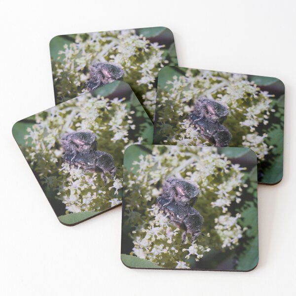 Item preview, For future generations. Green rose chafer designed and sold by Jouko Lehto Photography.
