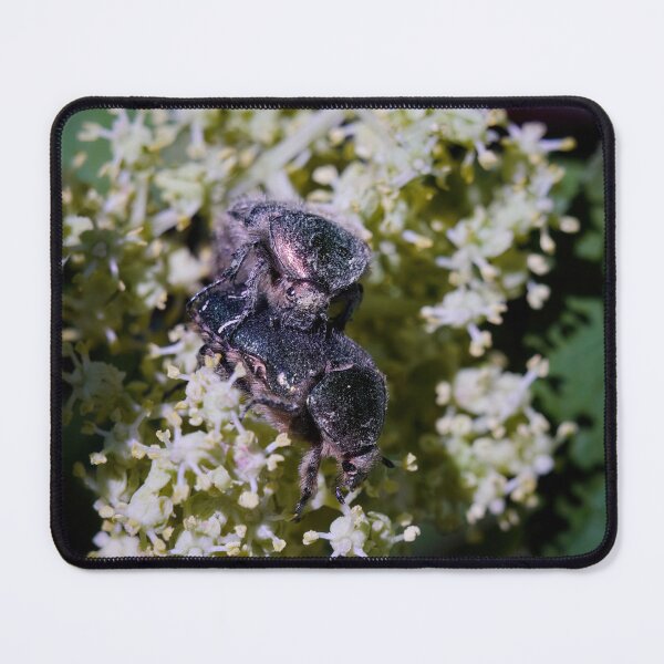Item preview, For future generations. Green rose chafer designed and sold by Jouko Lehto Photography.