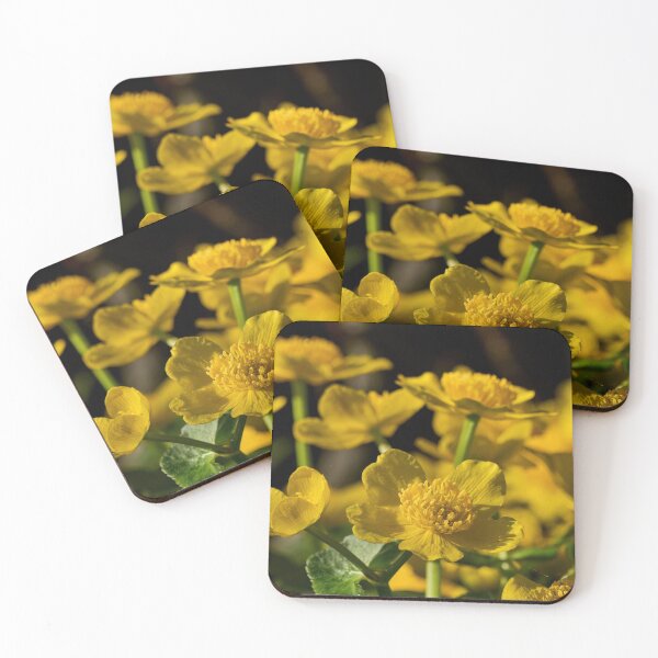 Artikelvorschau, Blüte der Sumpfdotterblume entworfen und verkauft von Jouko Lehto Photography.
