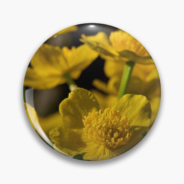 Item preview, Marsh Marigold bloom designed and sold by Jouko Lehto Photography.