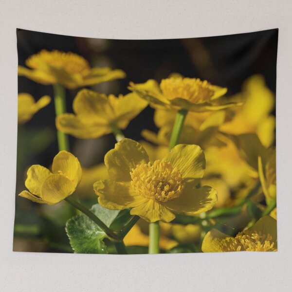 Item preview, Marsh Marigold bloom designed and sold by Jouko Lehto Photography.
