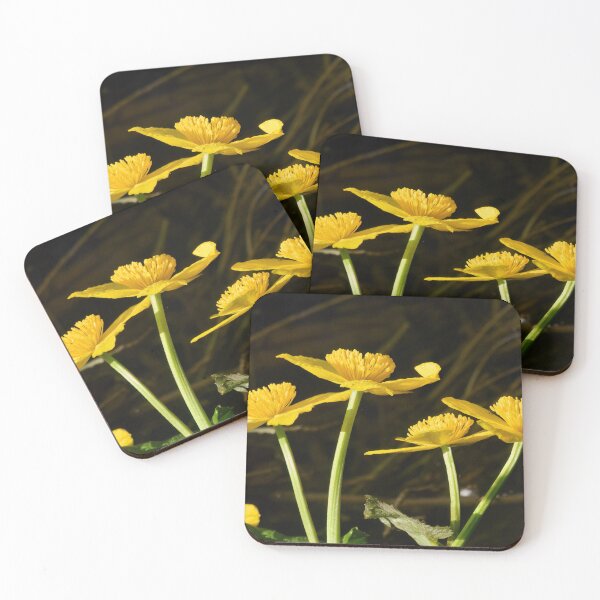 Item preview, Four of a kind. Marsh Marigold designed and sold by Jouko Lehto Photography.