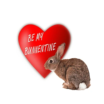 Artwork thumbnail, BE MY BUNNETINE by Tim Forder