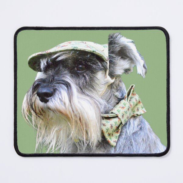 Item preview, Hansel The Schnauzer designed and sold by barksandsqueaks.