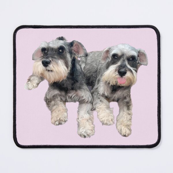 Item preview, Cheeky Schnauzers designed and sold by barksandsqueaks.