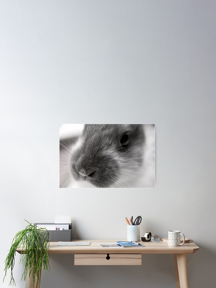 Thumbnail 2 of 3, Poster, Fricassee designed and sold by DaogreerEarth.