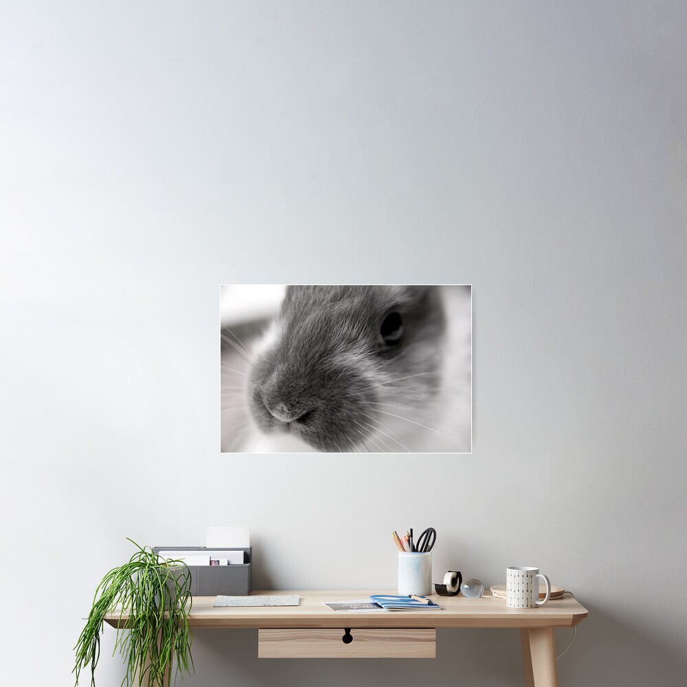 Item preview, Poster designed and sold by DaogreerEarth.