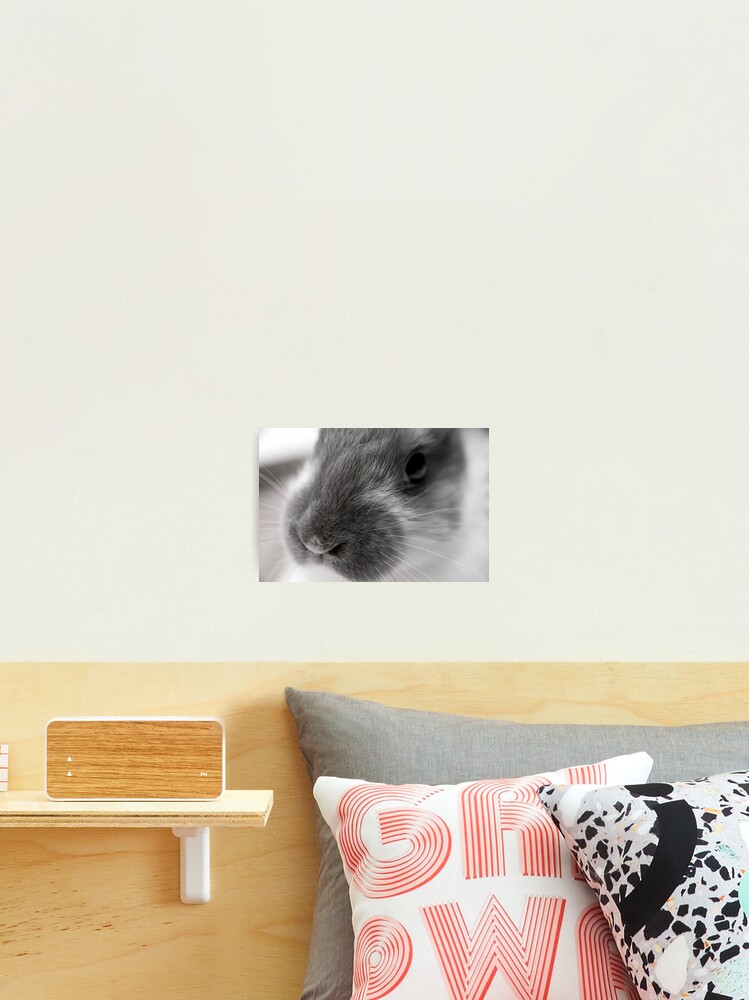 Thumbnail 1 of 3, Photographic Print, Fricassee designed and sold by DaogreerEarth.
