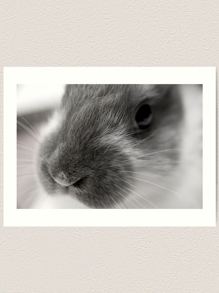 Thumbnail 1 of 3, Art Print, Fricassee designed and sold by DaogreerEarth.