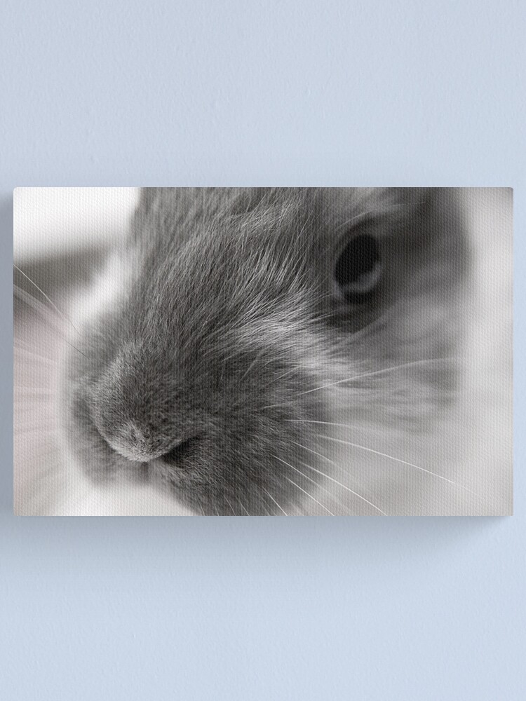 Thumbnail 1 of 3, Canvas Print, Fricassee designed and sold by DaogreerEarth.