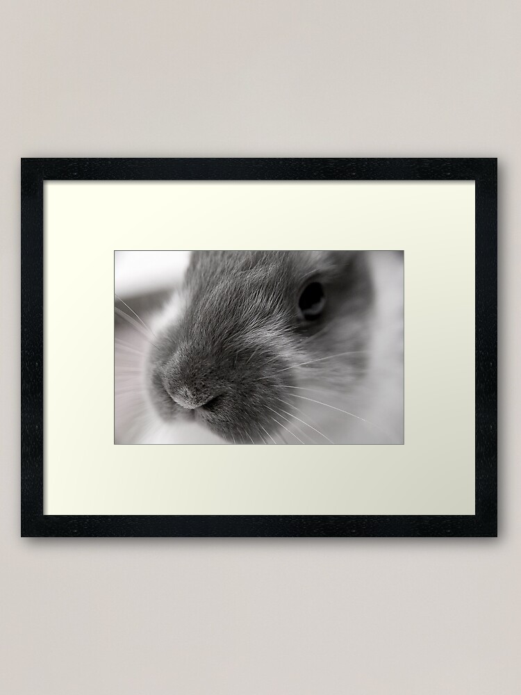 Thumbnail 1 of 7, Framed Art Print, Fricassee designed and sold by DaogreerEarth.