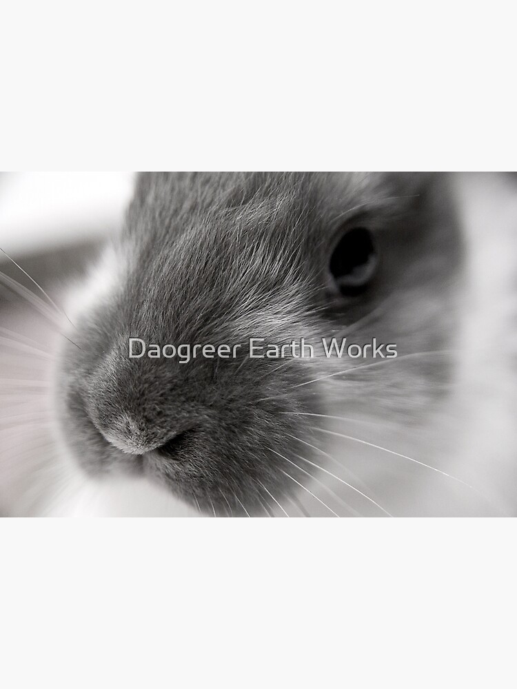 Thumbnail 3 of 3, Photographic Print, Fricassee designed and sold by DaogreerEarth.